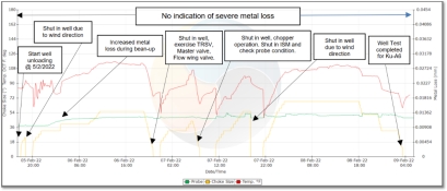 Sand and Solids Erosion Monitoring, Offshore Sarawak